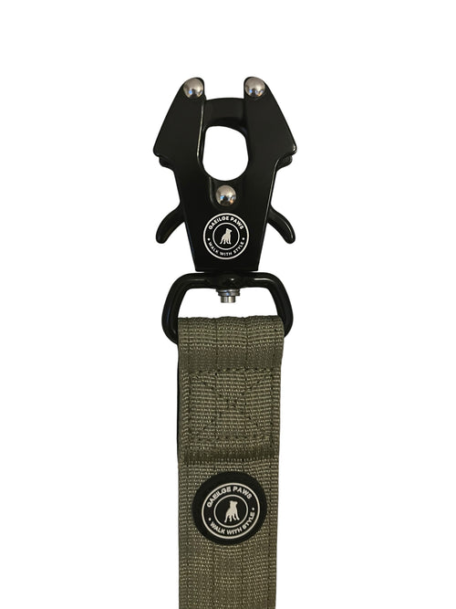 Premium Dog Leash with Frog Clip Safety Lock